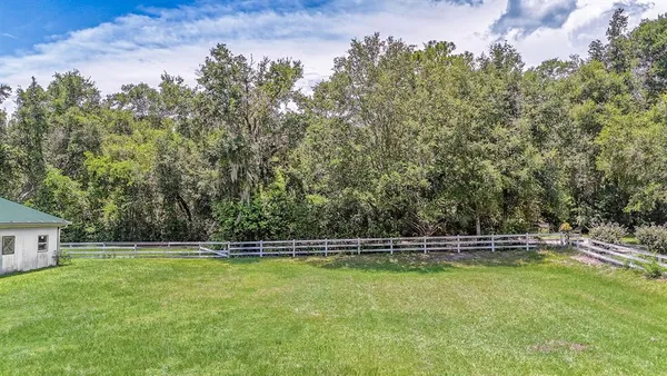 a green field with lots of bushes