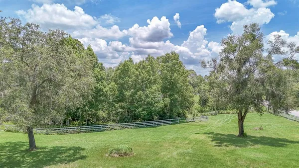 a view of a yard in a garden