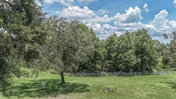 a view of a green yard with large trees