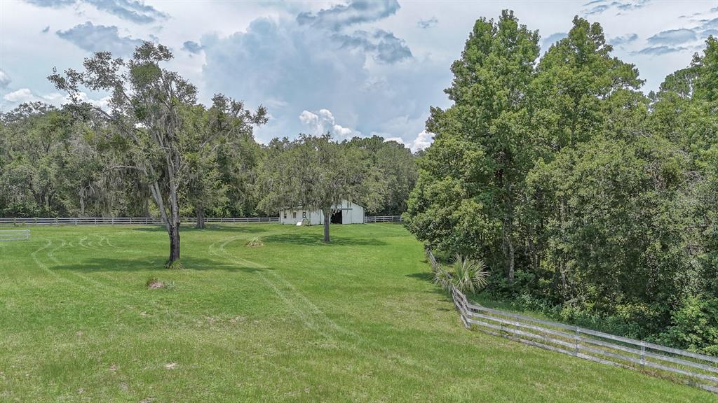 32025 Timberlake Drive Mount Dora, FL 32757 - Photo 52 of 55 a green field with lots of bushes