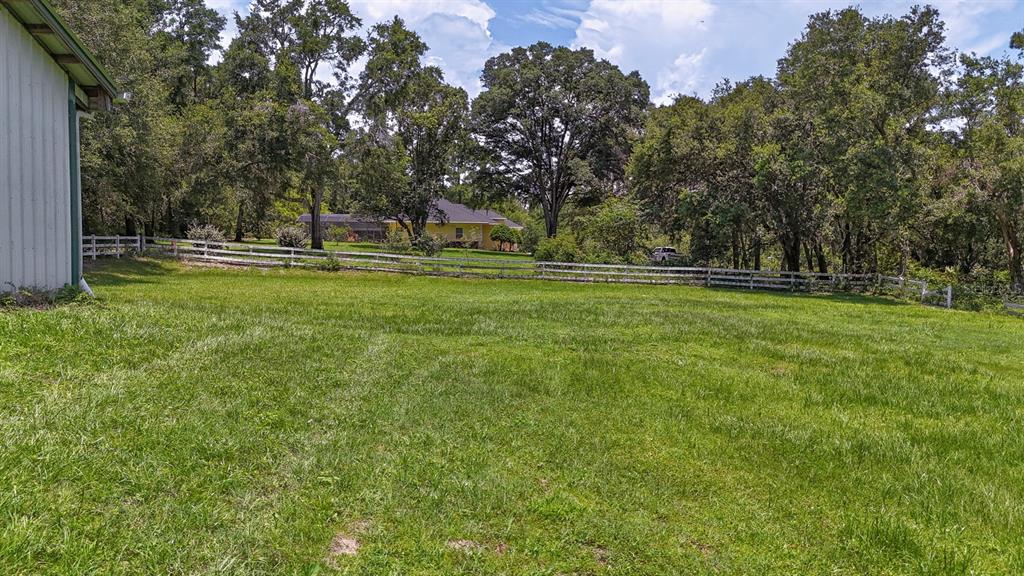 32025 Timberlake Drive Mount Dora, FL 32757 - Photo 53 of 55 a view of a park