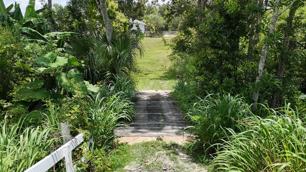 32025 Timberlake Drive Mount Dora, FL 32757 - Photo 54 of 55 a view of a yard in a garden