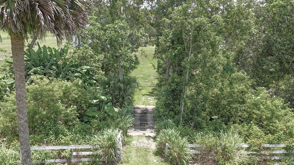32025 Timberlake Drive Mount Dora, FL 32757 - Photo 55 of 55 a view of a green yard with large trees