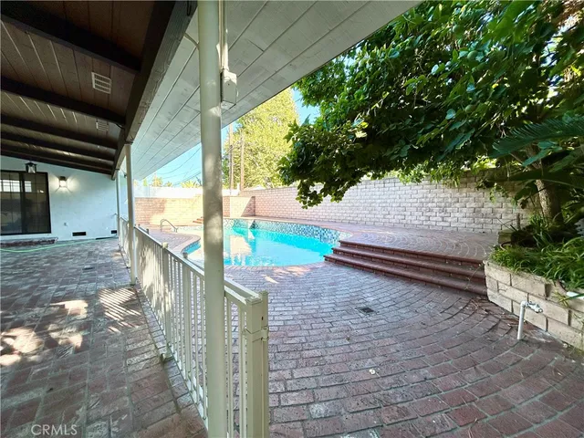 a green plant in a garden