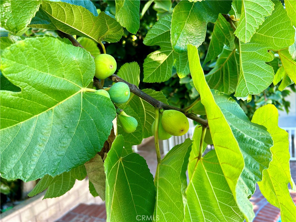 16754 Armstead Street Granada Hills, CA 91344 - Photo 26 of 28