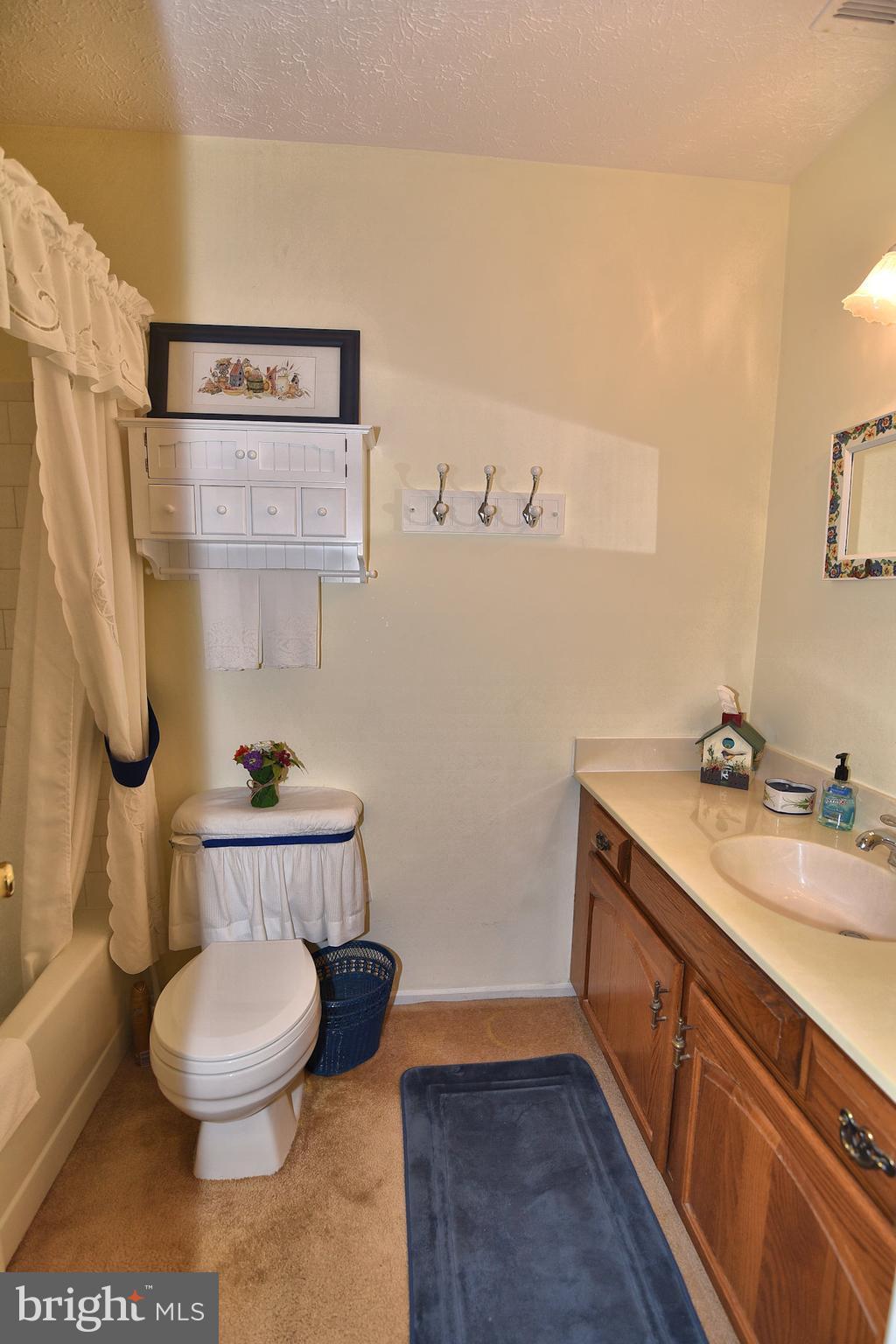 8219 Grainfield Road Severn, MD 21144 - Photo 16 of 30 a bathroom with a toilet and a sink