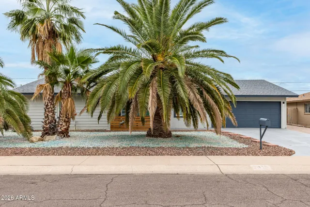 a palm tree sitting in front of a house with a potted plant