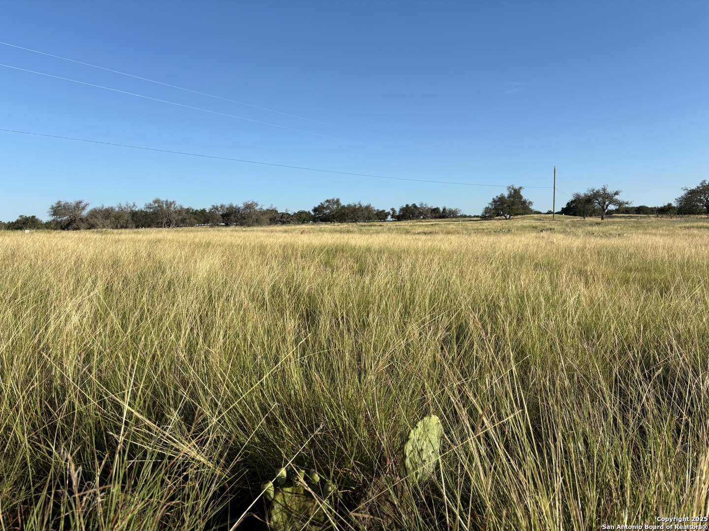 183 Lipan Loop Harper, TX 78631 - Photo 3 of 15