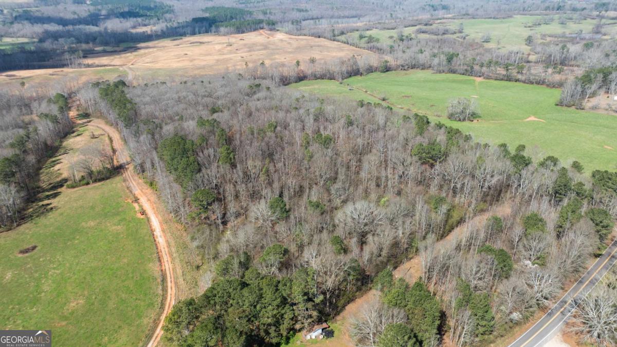 0 Lovvorn Mill Road Bowdon, GA 30108 - Photo 2 of 18