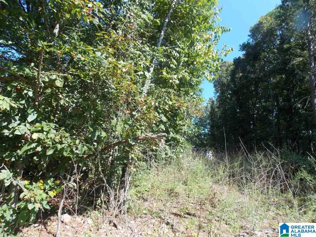 375 Marble Quarry Road, Unit 7 ACRES Talladega, AL 35160 - Photo 18 of 33