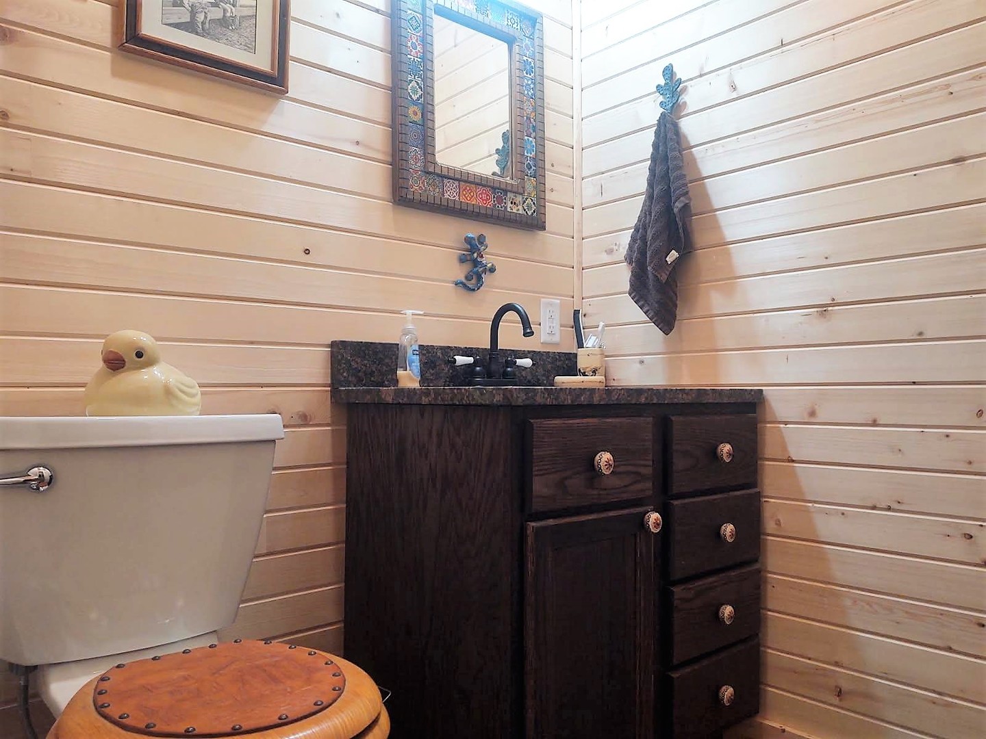 377 Lusk Road Golconda, IL 62938 - Photo 20 of 42 a bathroom with a sink a toilet and mirror