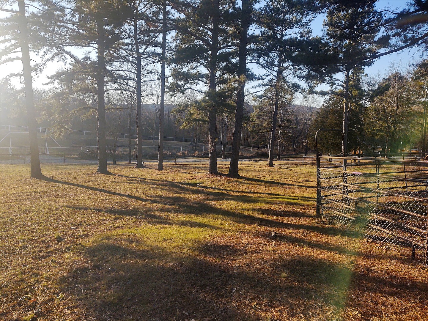 377 Lusk Road Golconda, IL 62938 - Photo 2 of 42 a view of park space