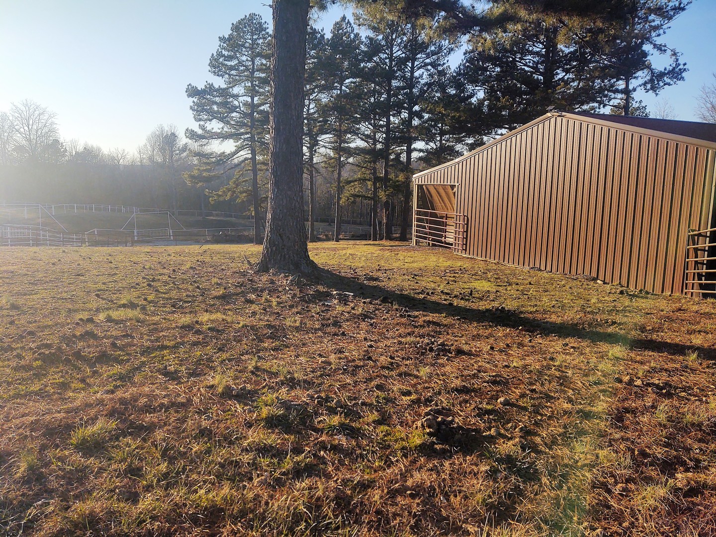 377 Lusk Road Golconda, IL 62938 - Photo 26 of 42 a view of a backyard with large trees