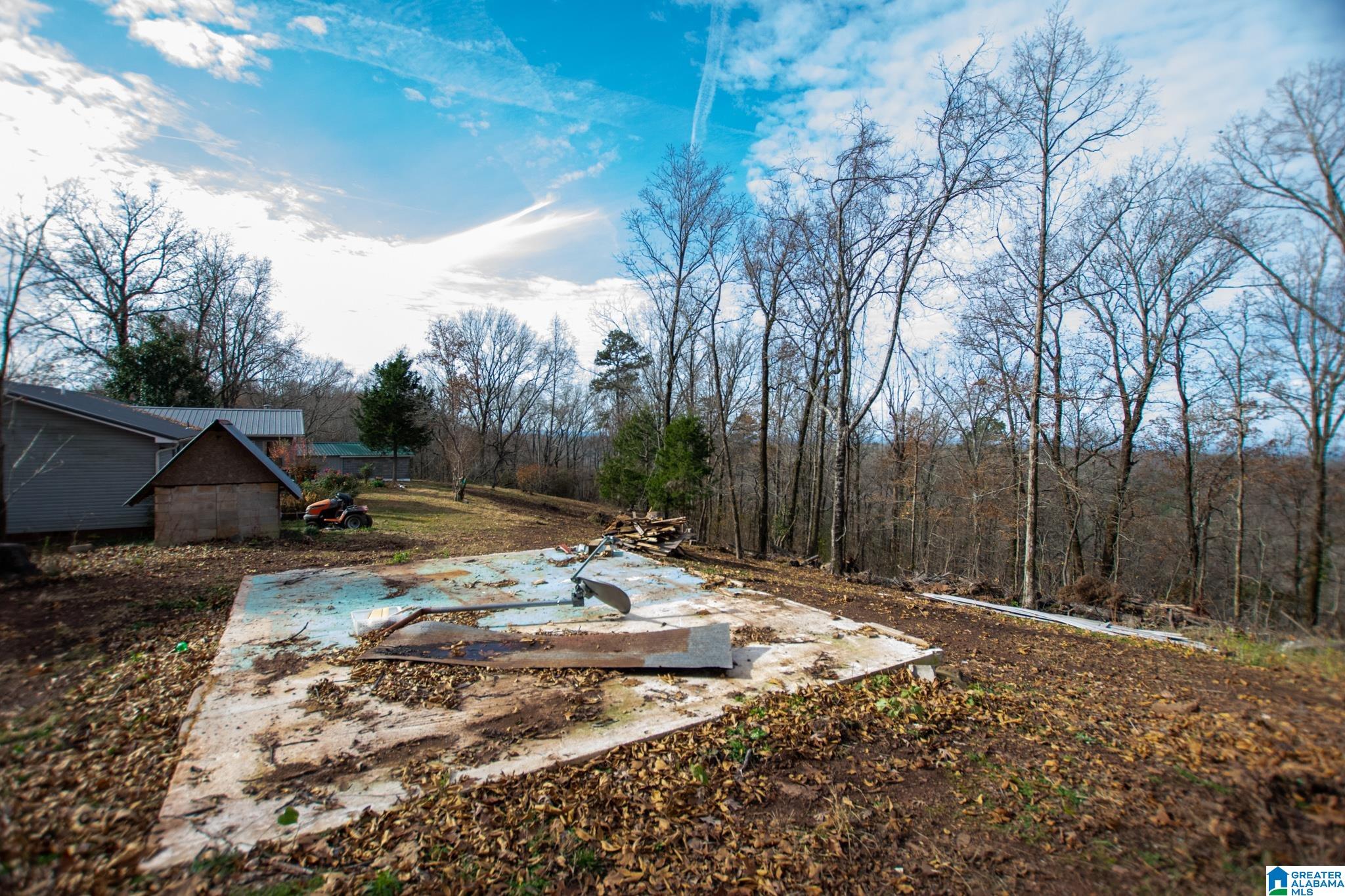 543 Young Road Remlap, AL 35133 - Photo 37 of 46