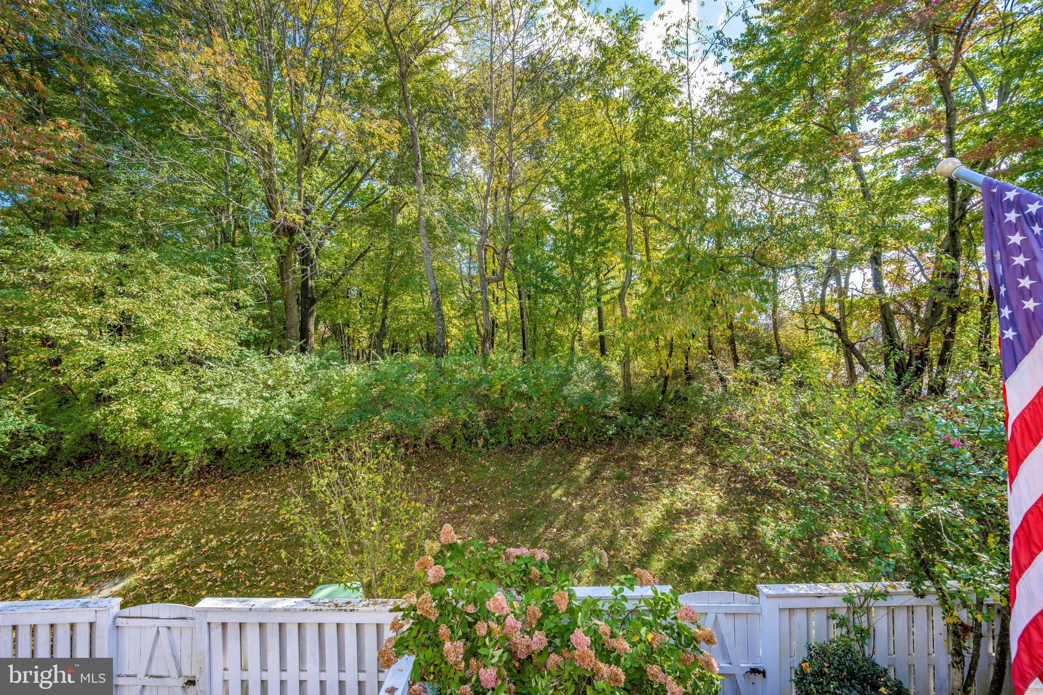 2159 Wolftrap Court Vienna, VA 22182 - Photo 48 of 62