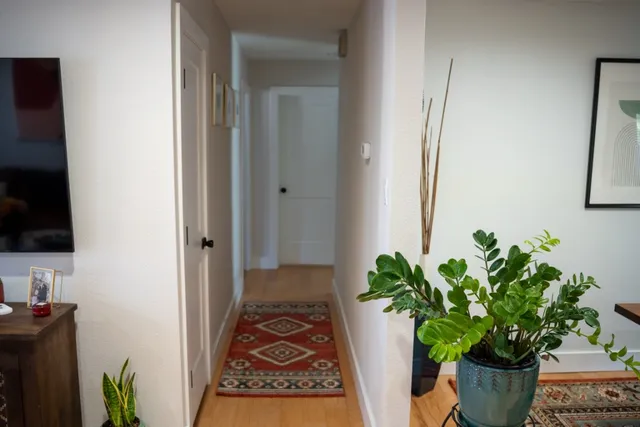 a living room with furniture flower pot and a window
