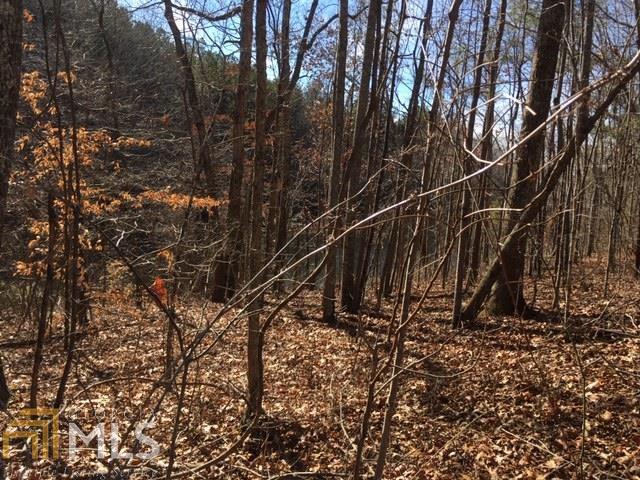 0 Reid Road Bremen, GA 30110 - Photo 1 of 1