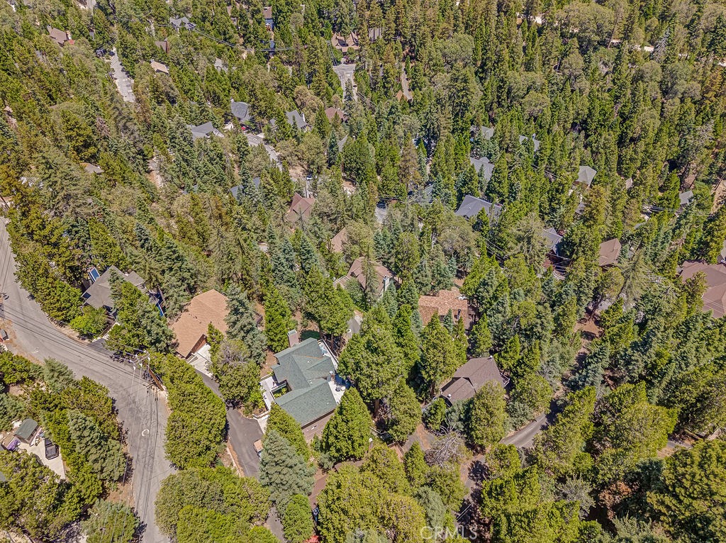 318 Old Toll Road Lake Arrowhead, CA 92352 - Photo 40 of 44 a view of a house with a lush green forest