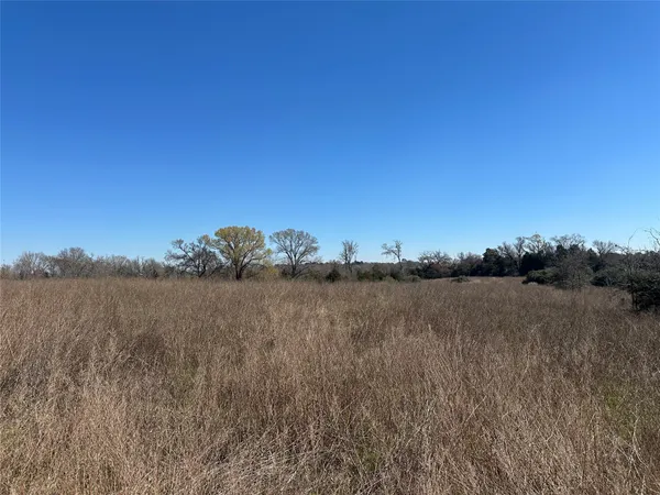 a view of a lake from a yard