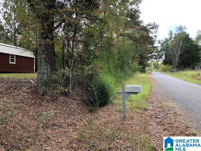 798 Starnes Chapel Road Blountsville, AL 35031 - Photo 9 of 22