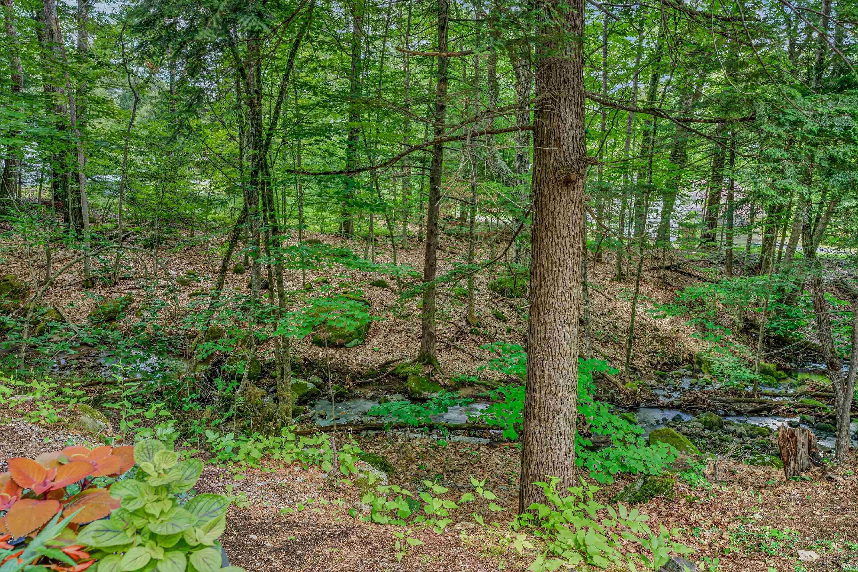 32 Stoney Brook Road Hebron, NH 03241 - Photo 29 of 49