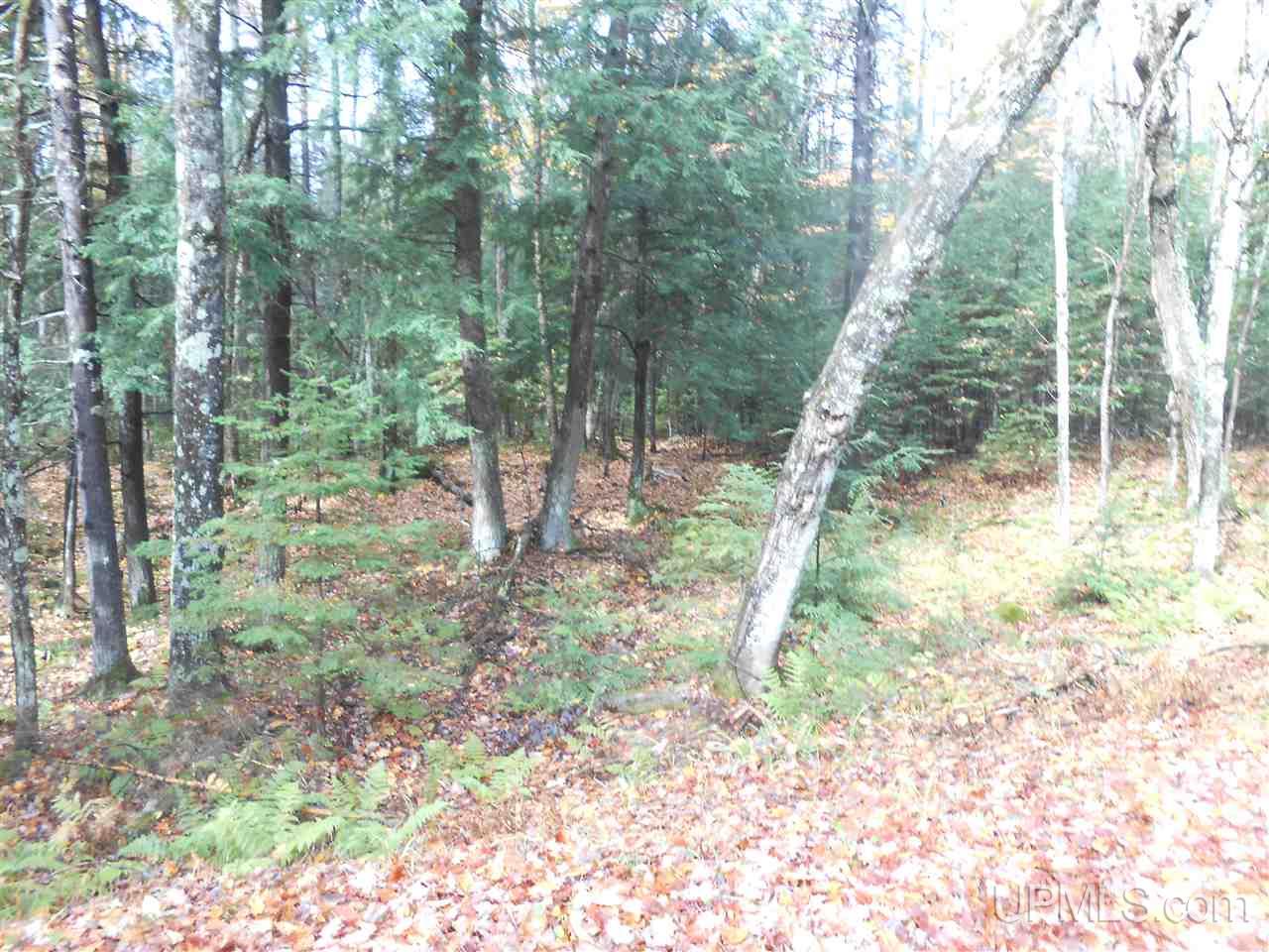 Tbd North Beatons Lake Road Bruce Crossing, MI 49912 - Photo 15 of 15