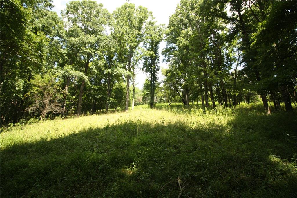 O Garrison Ridge Road New Freeport, PA 15352 - Photo 3 of 6