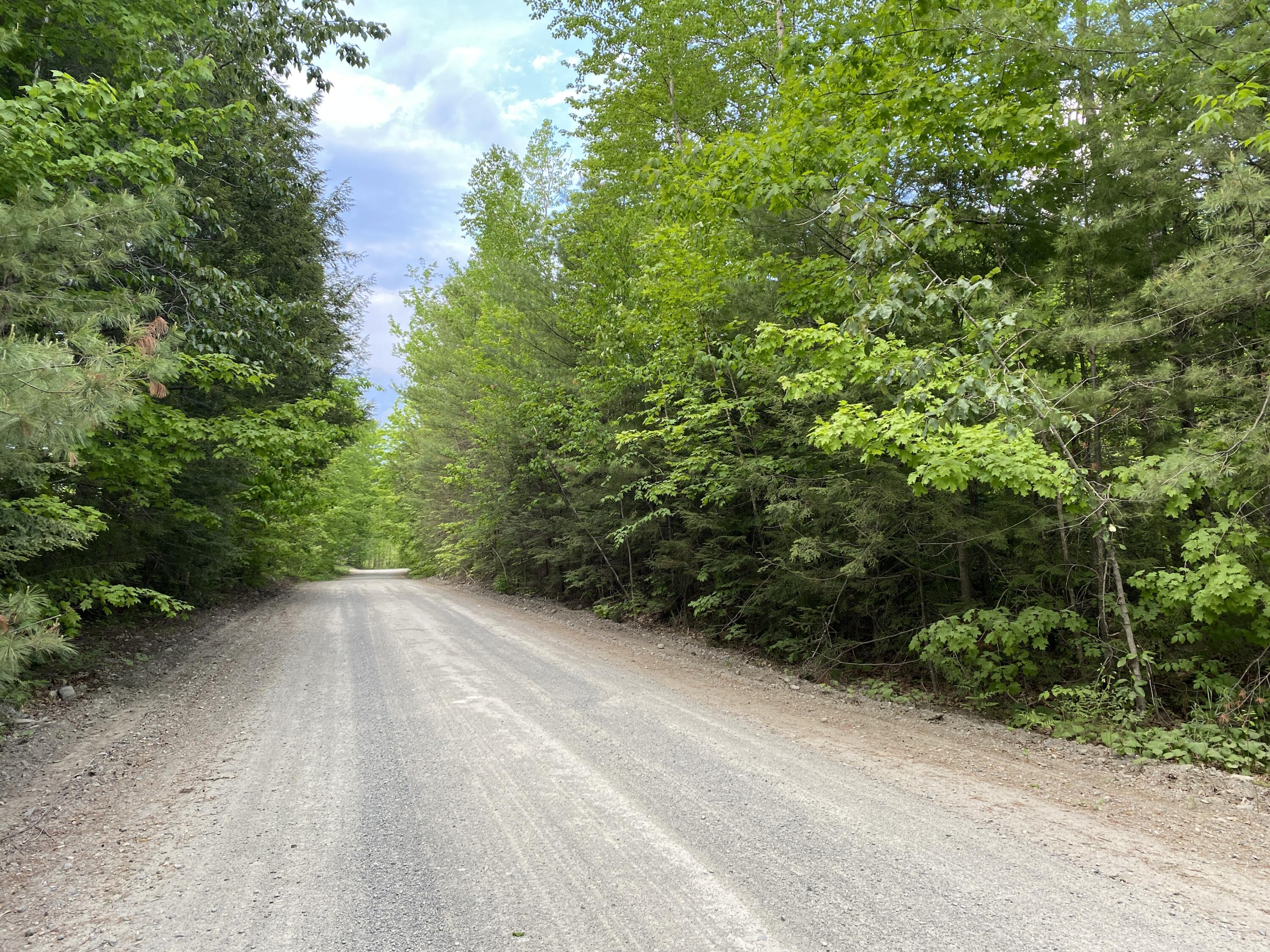 Lot A Dead Water Road Moscow, ME 04920 - Photo 3 of 8 IMG_1364