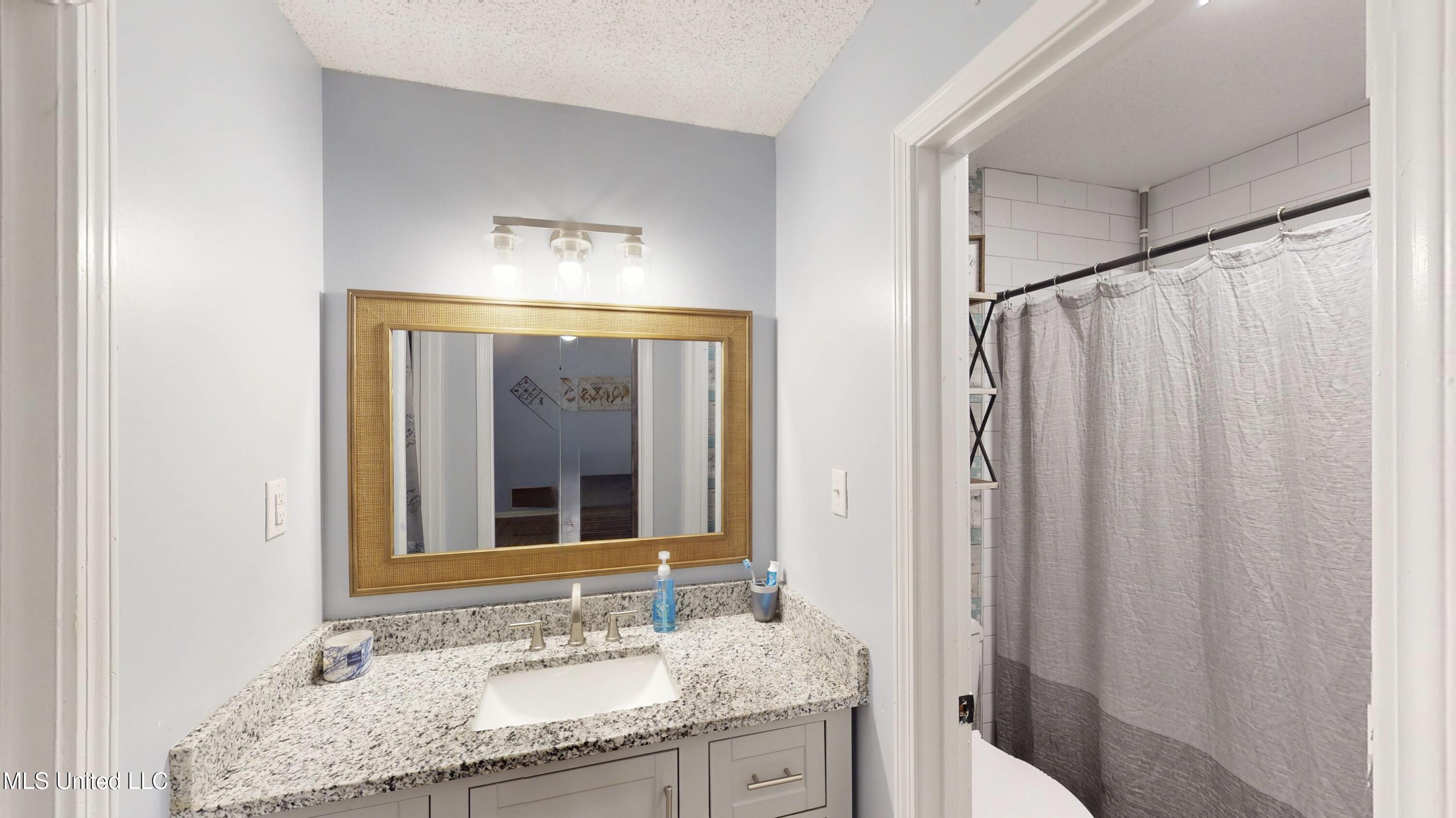 3902 Windermere Drive Nesbit, MS 38651 - Photo 37 of 37 3902-Windermere-Dr-S-06082025_161505