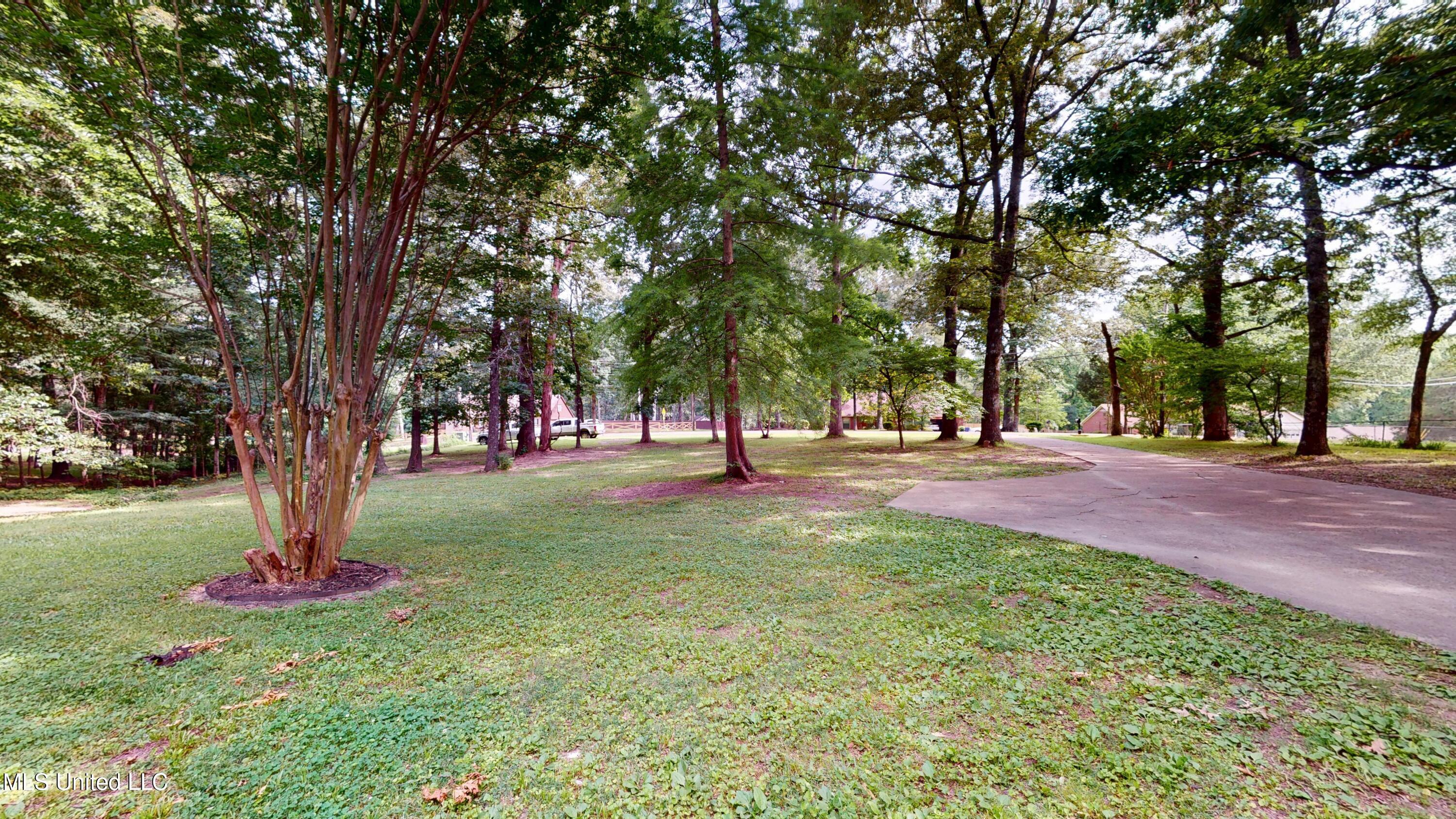 3902 Windermere Drive Nesbit, MS 38651 - Photo 4 of 37 3902-Windermere-Dr-S-06082025_163313