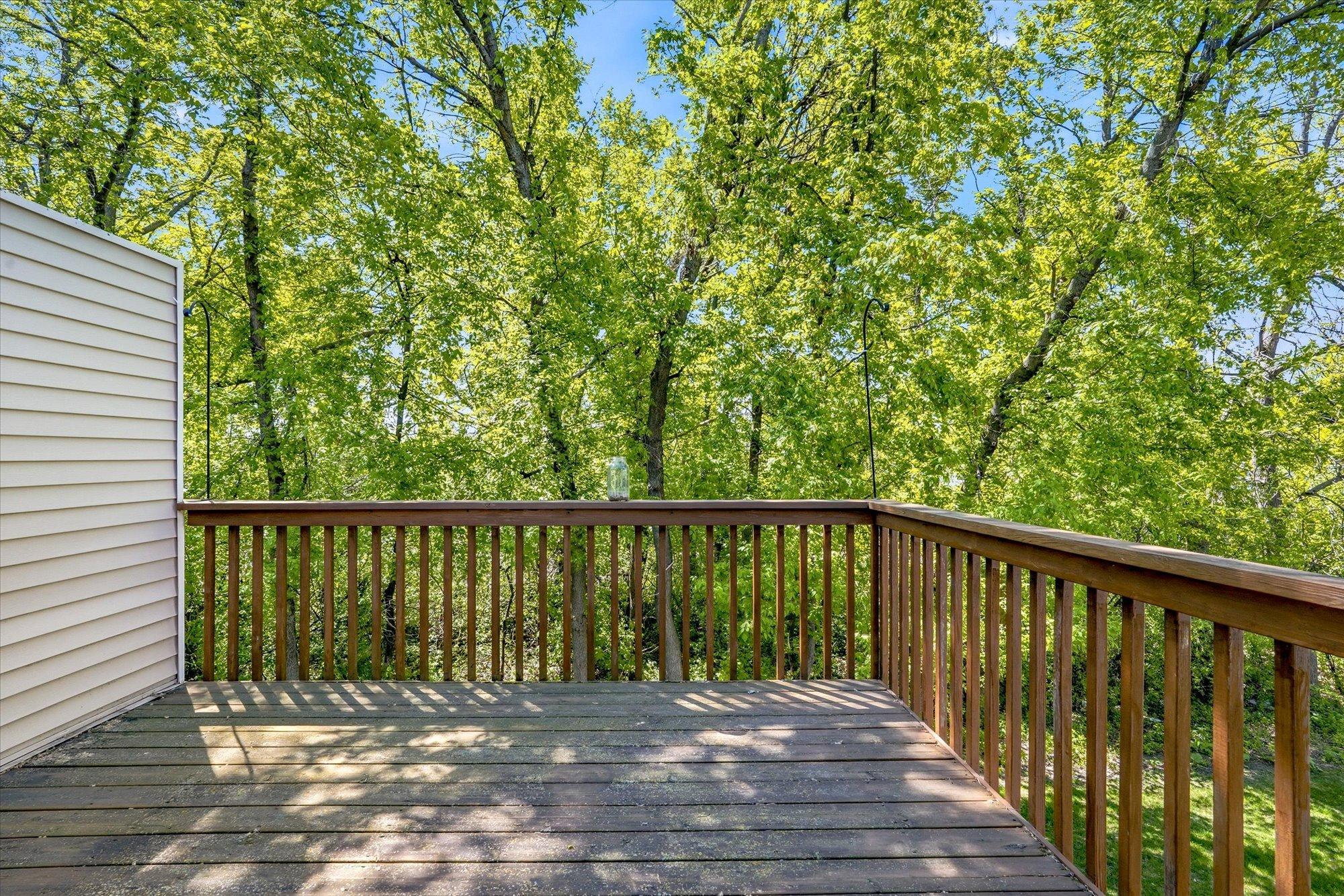 152 Pheasant Ridge Drive Montrose, MN 55363 - Photo 16 of 35