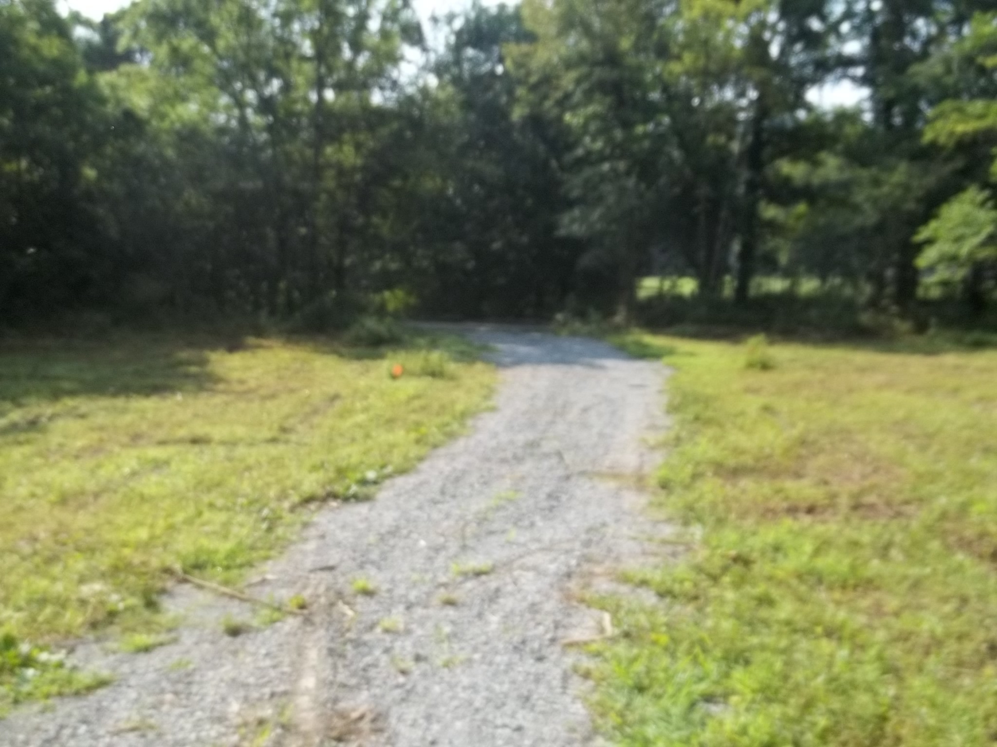 82 Clark Road Lynchburg, TN 37352 - Photo 1 of 9 a view of a yard
