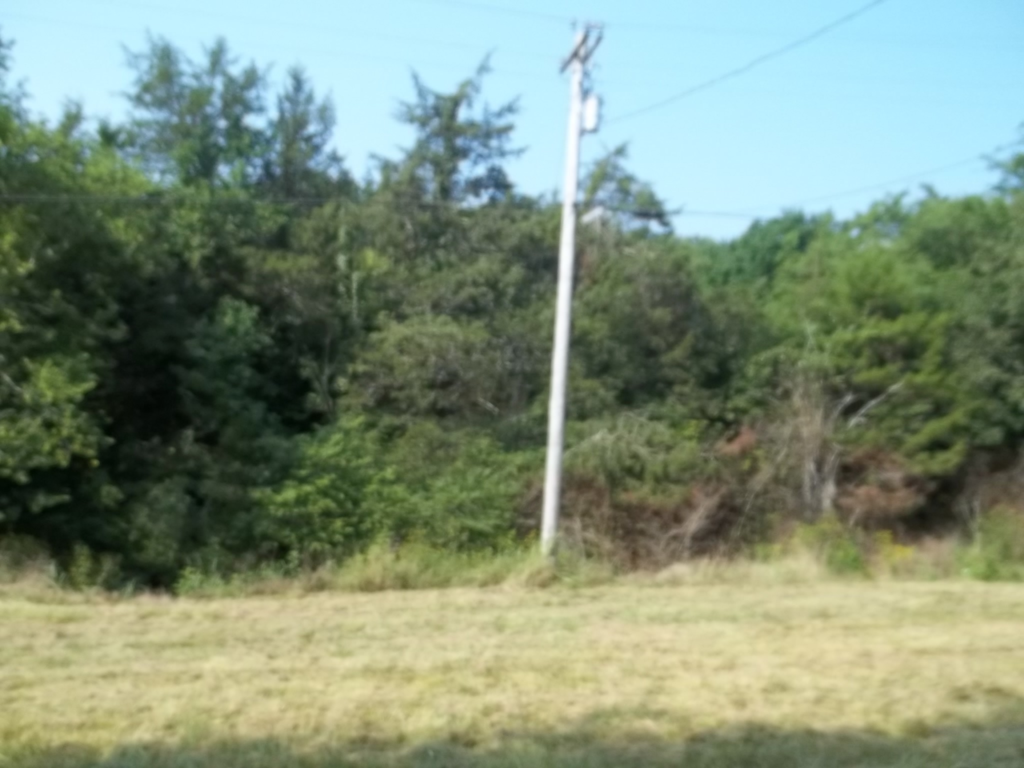 82 Clark Road Lynchburg, TN 37352 - Photo 2 of 9 a view of a yard with a tree