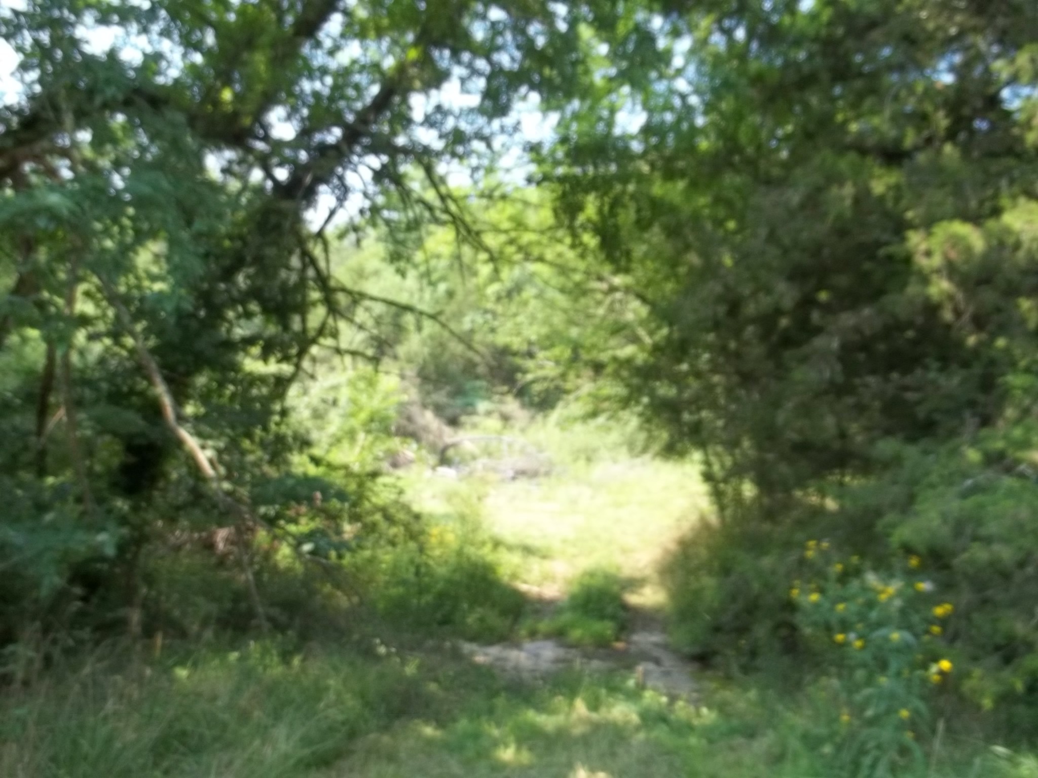 82 Clark Road Lynchburg, TN 37352 - Photo 6 of 9