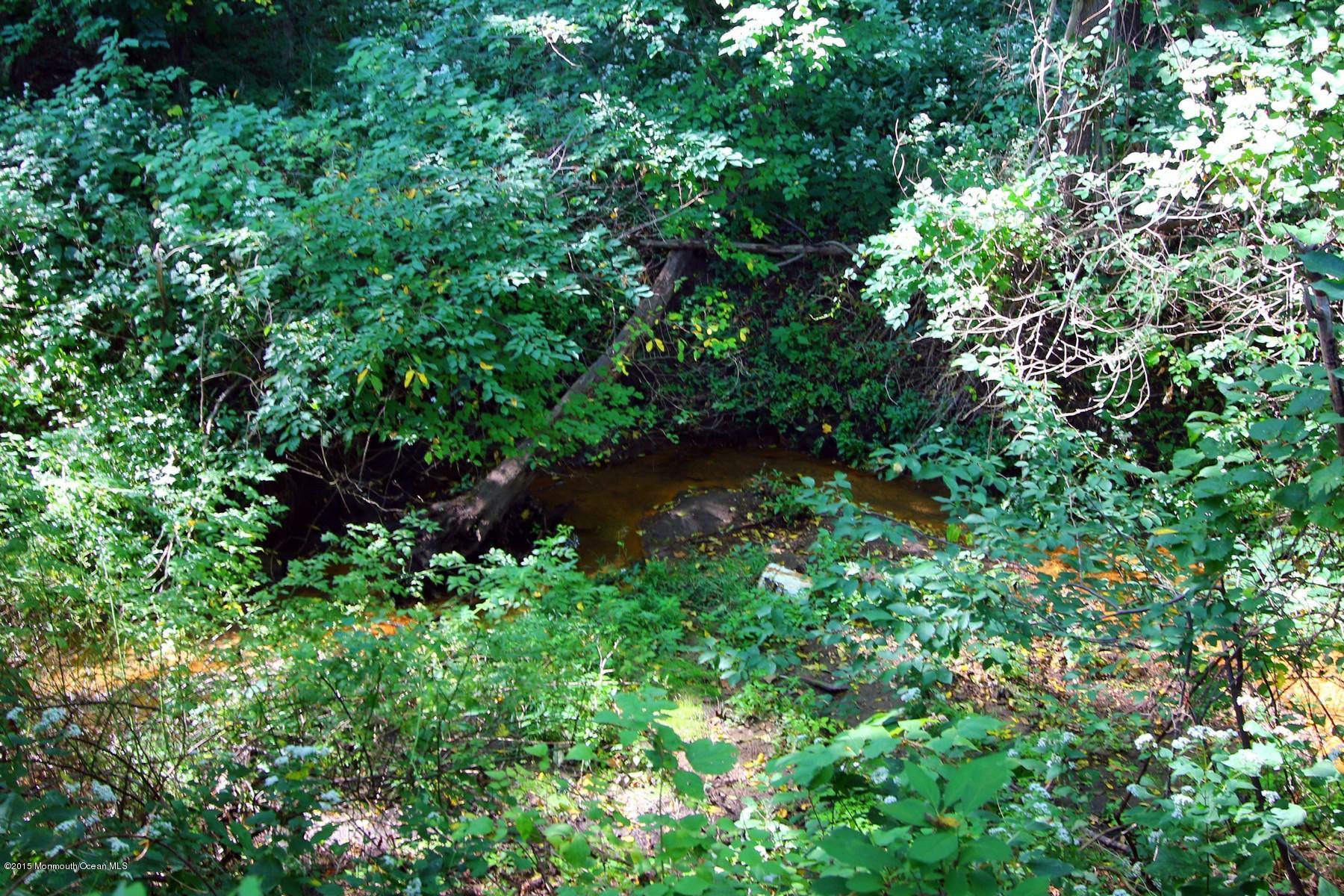 16 Riverside Lane Holmdel, NJ 07733 - Photo 12 of 61 EIMG_0083a