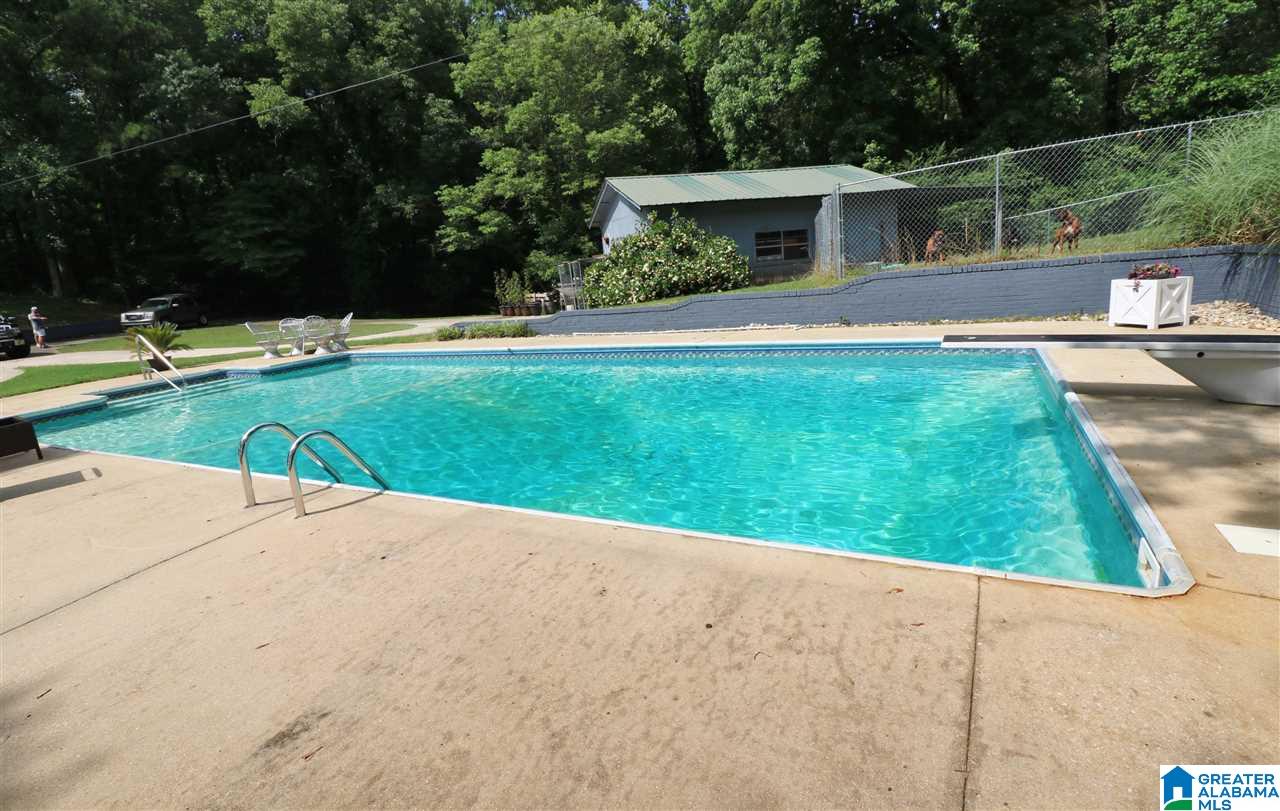 980 Black Acres Road Cropwell, AL 35054 - Photo 19 of 34