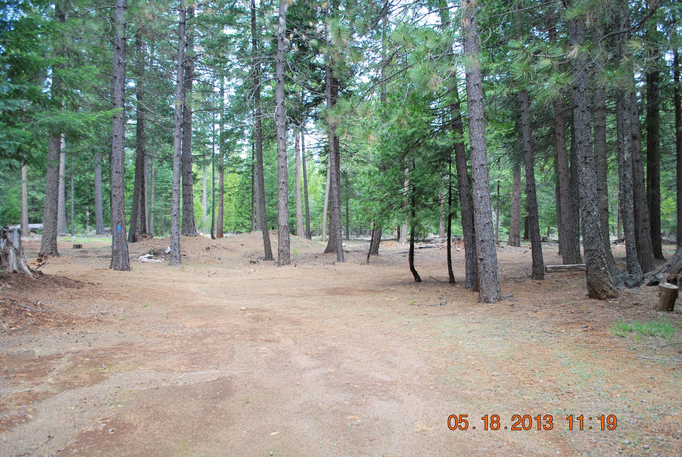 10271 Ritts Mill Road Shingletown, CA 96088 - Photo 14 of 29 a view of park with trees