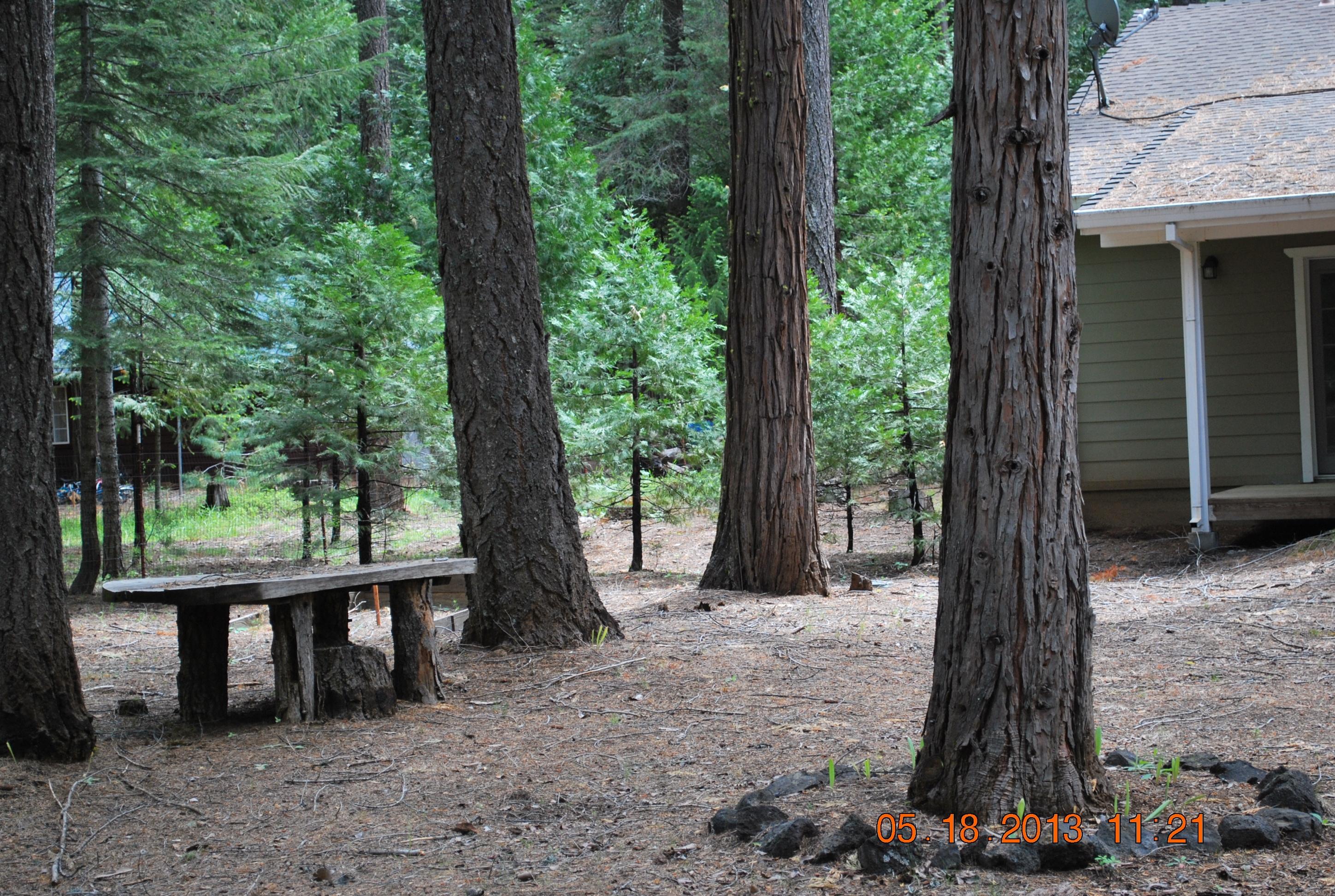 10271 Ritts Mill Road Shingletown, CA 96088 - Photo 21 of 29 a view of a backyard with a large tree