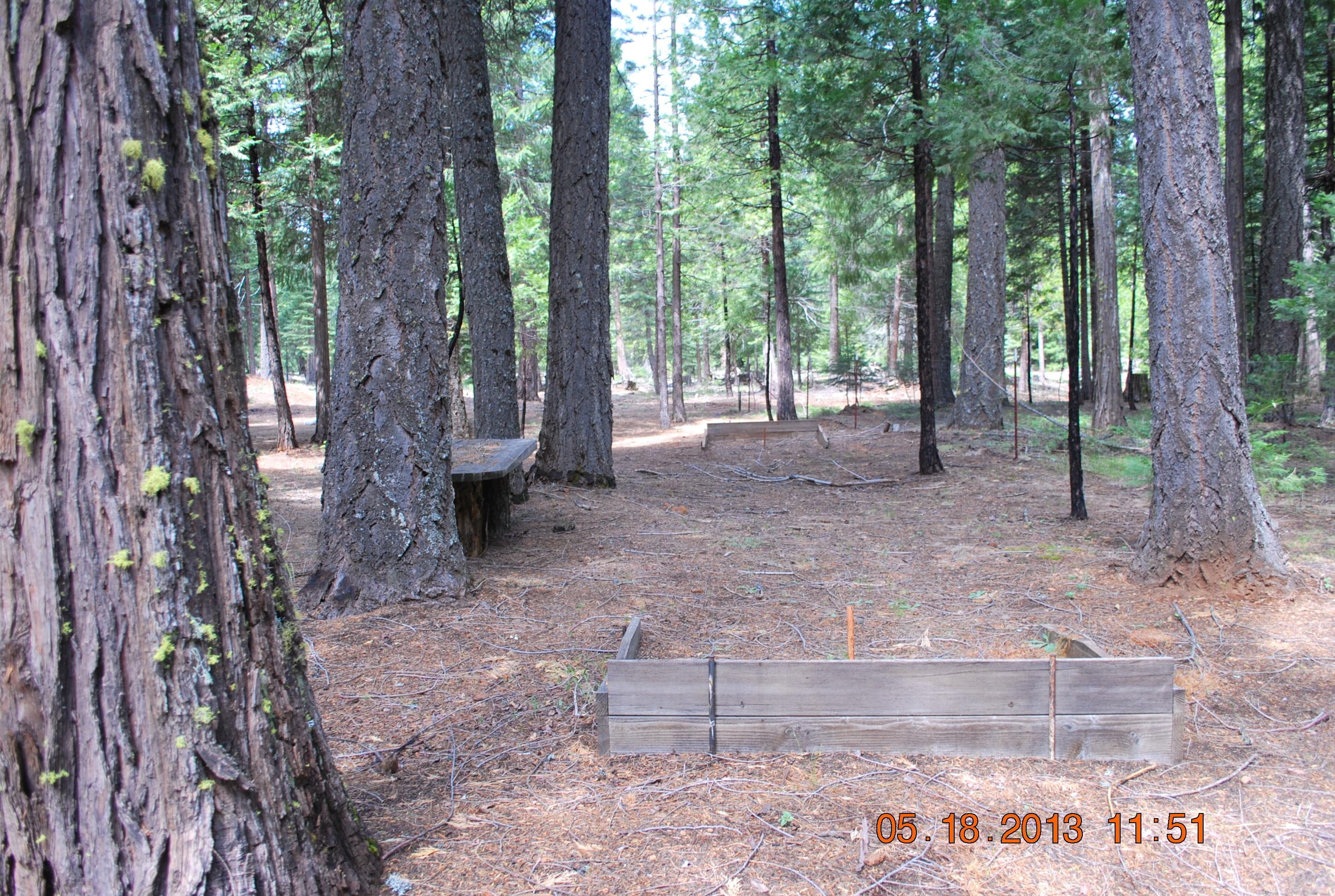 10271 Ritts Mill Road Shingletown, CA 96088 - Photo 29 of 29 a view of a forest with trees in the background