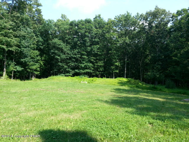 360 Upper Ridge Drive Effort, PA 18330 - Photo 22 of 22 Flat Yard