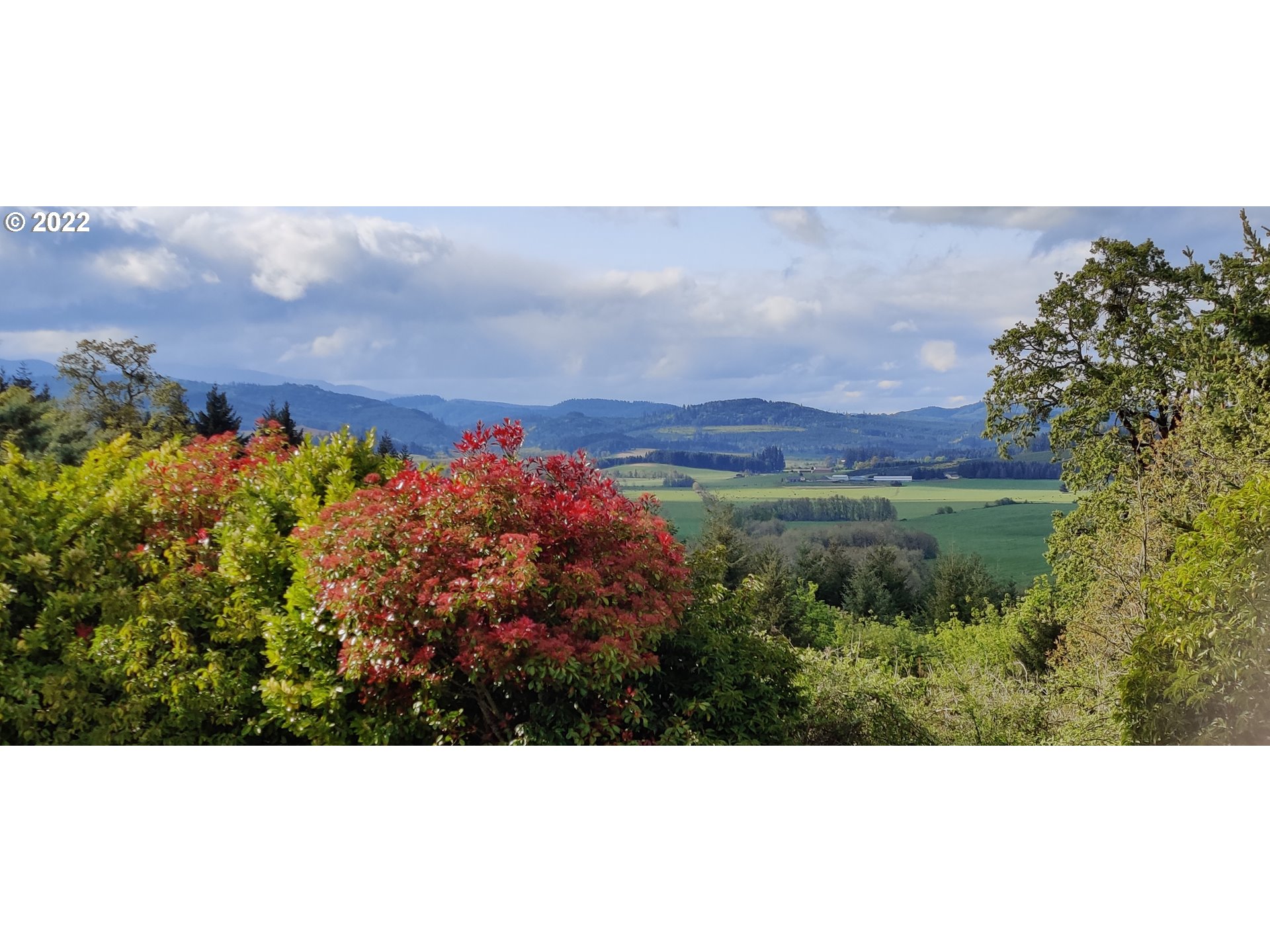 25906 Alpine Road Monroe, OR 97456 - Photo 3 of 32 Gallery Image 3