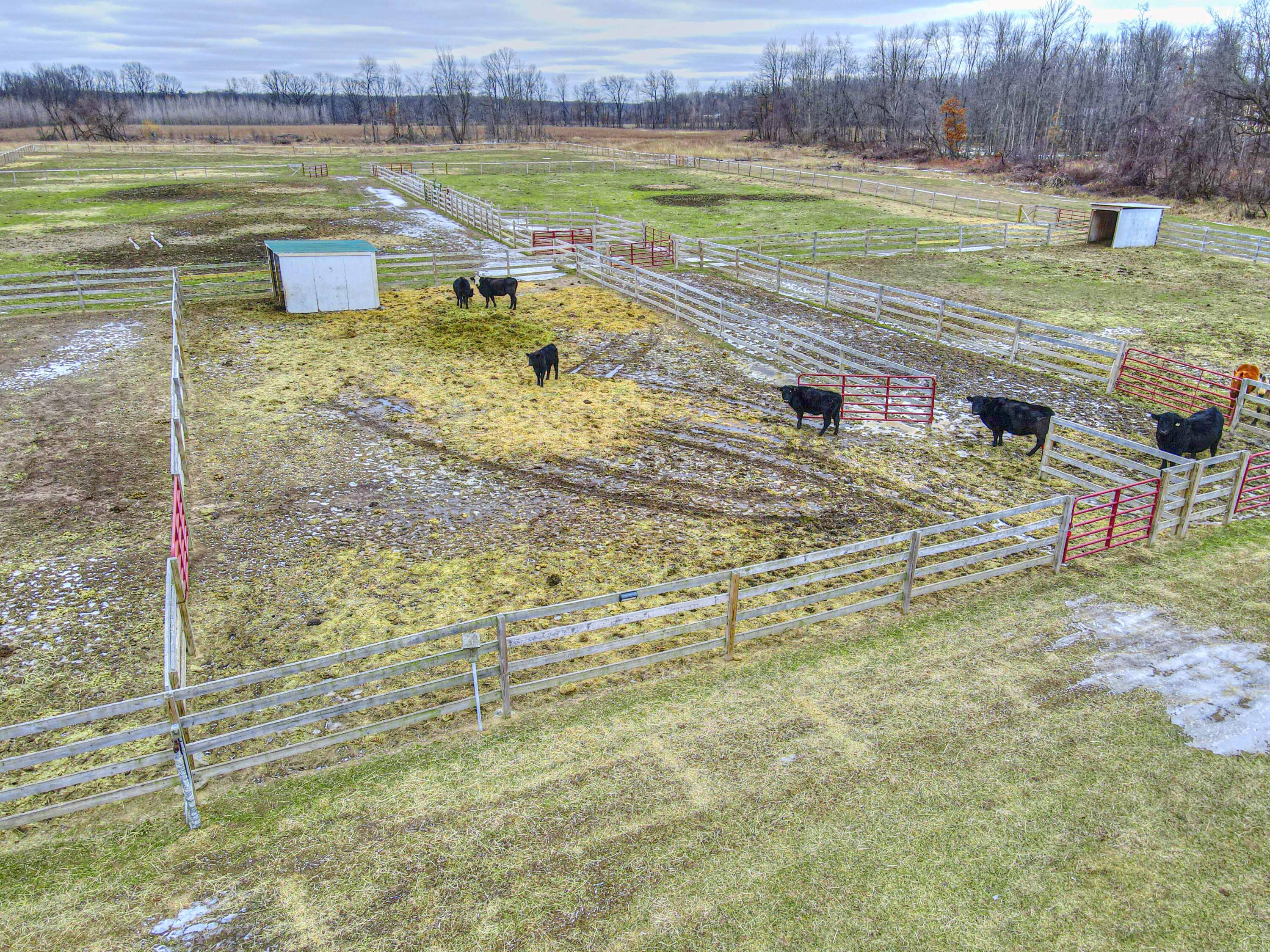 12911 Pope Church Road Springport, MI 49284 - Photo 39 of 53 12911 Pope Church Rd 56