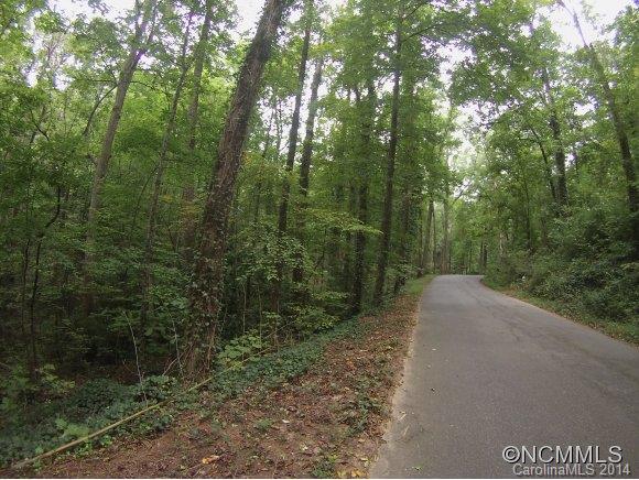 Lot19-20 Hillswick Road Tryon, NC 28782 - Photo 3 of 11 Gallery Image 3