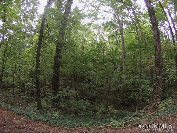 Lot19-20 Hillswick Road Tryon, NC 28782 - Photo 4 of 11 Gallery Image 4