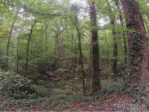 Lot19-20 Hillswick Road Tryon, NC 28782 - Photo 6 of 11 Gallery Image 6