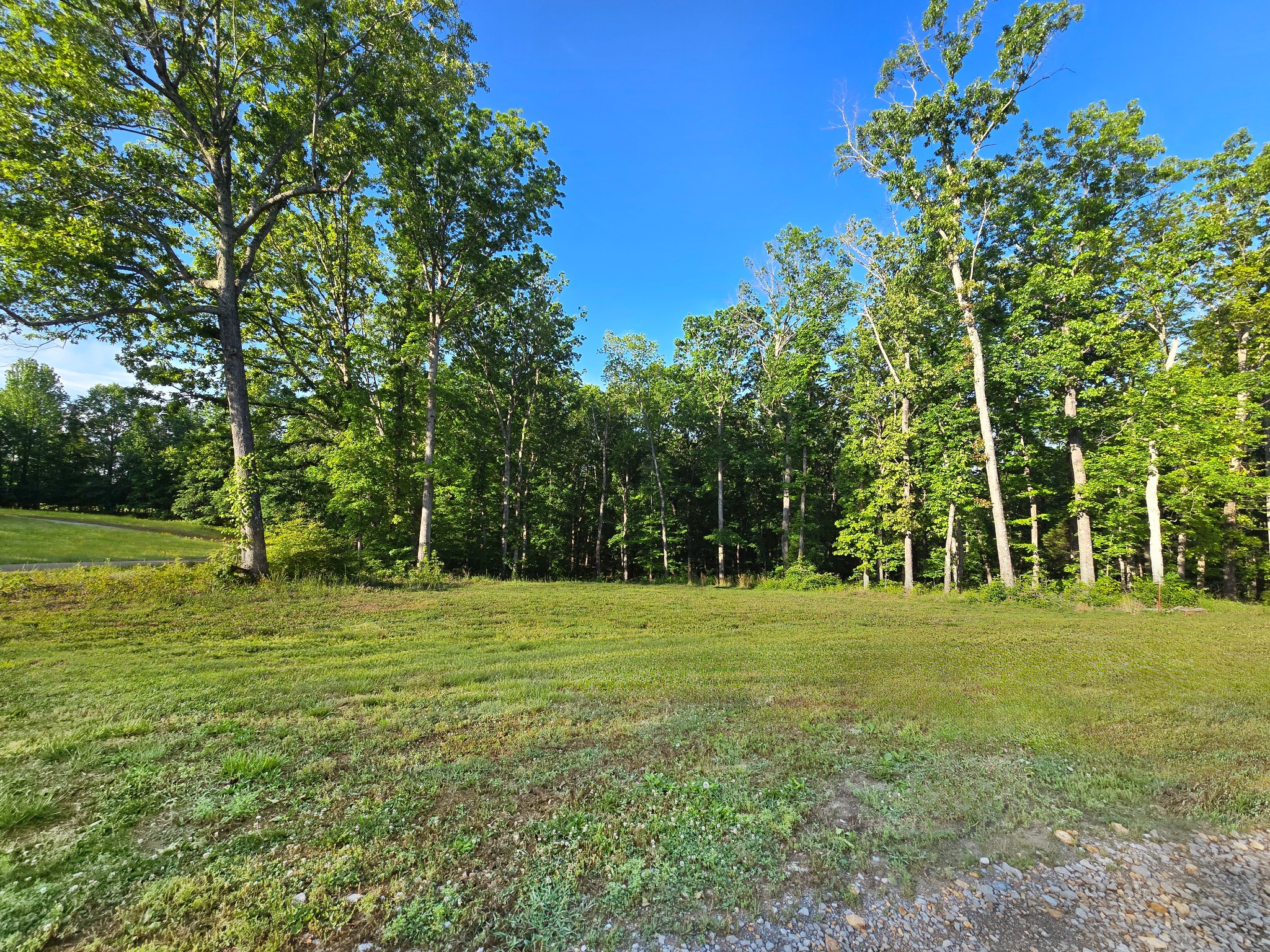 0 Akin Road Cunningham, TN 37052 - Photo 5 of 16 Gallery Image 5