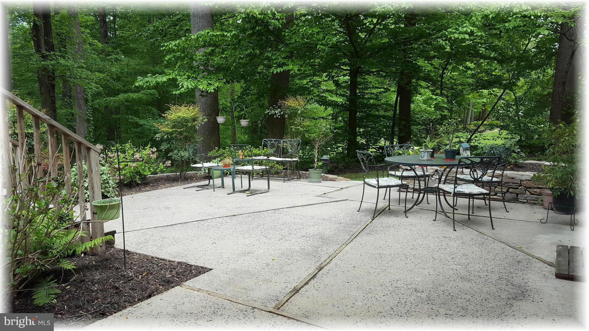 12009 Caspian Road Kingsville, MD 21087 - Photo 6 of 30 Park-like setting for all to enjoy from the patio.