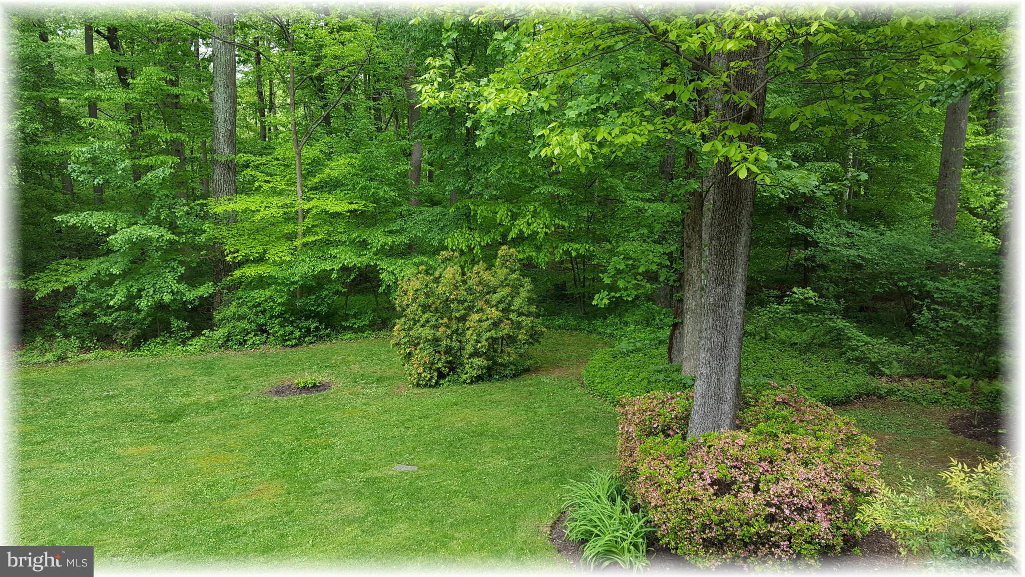 12009 Caspian Road Kingsville, MD 21087 - Photo 8 of 30 .78 ac. partially wooded lot for privacy