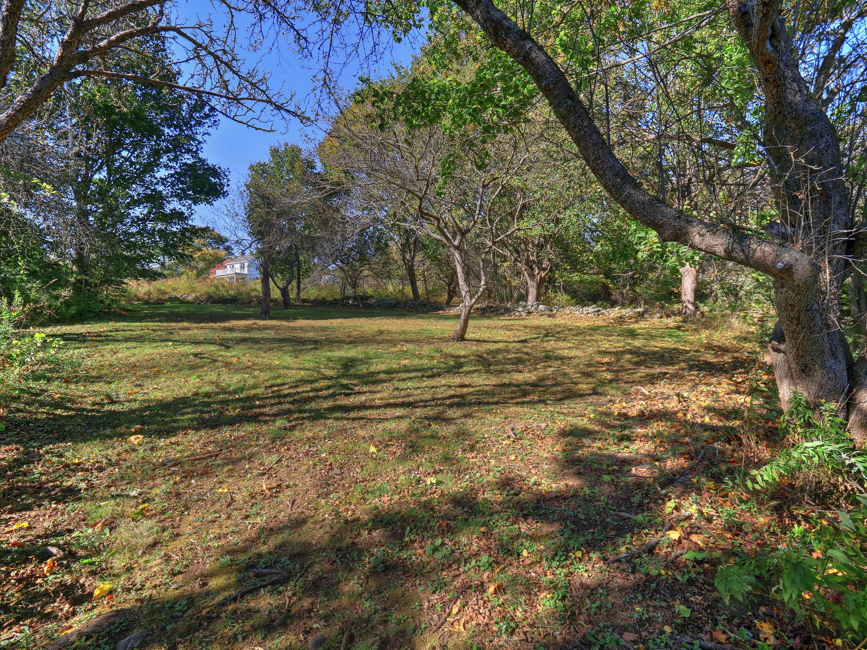 15 Ash Is Vw Road Owls Head, ME 04854 - Photo 36 of 64 Upper Yard w/ Apple Orchard