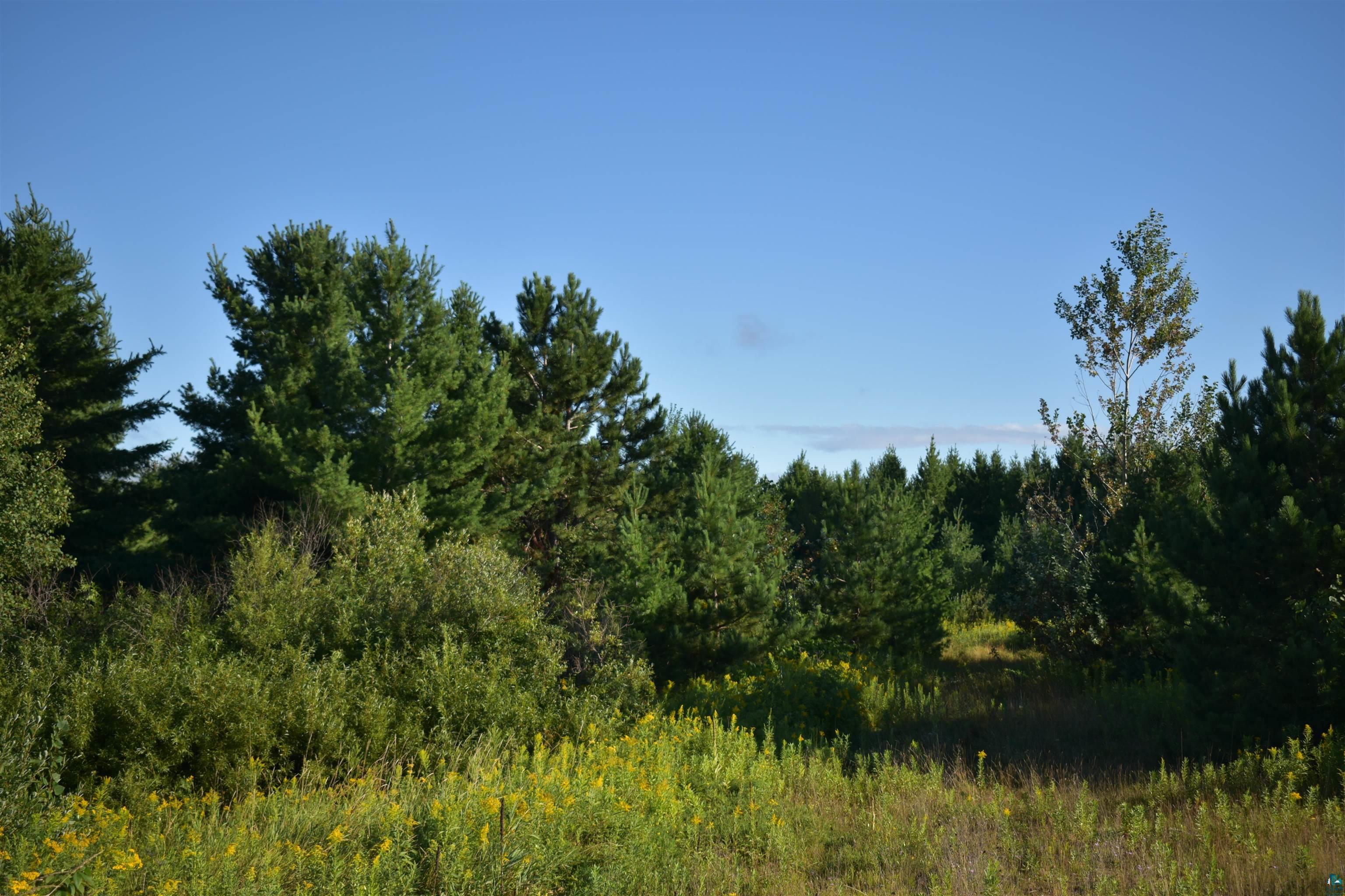 30210 Wannebo Road Washburn, WI 54891 - Photo 1 of 24